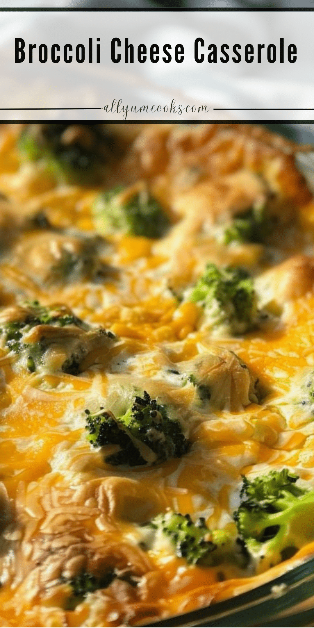 Broccoli Cheese Casserole All Yum Cooks