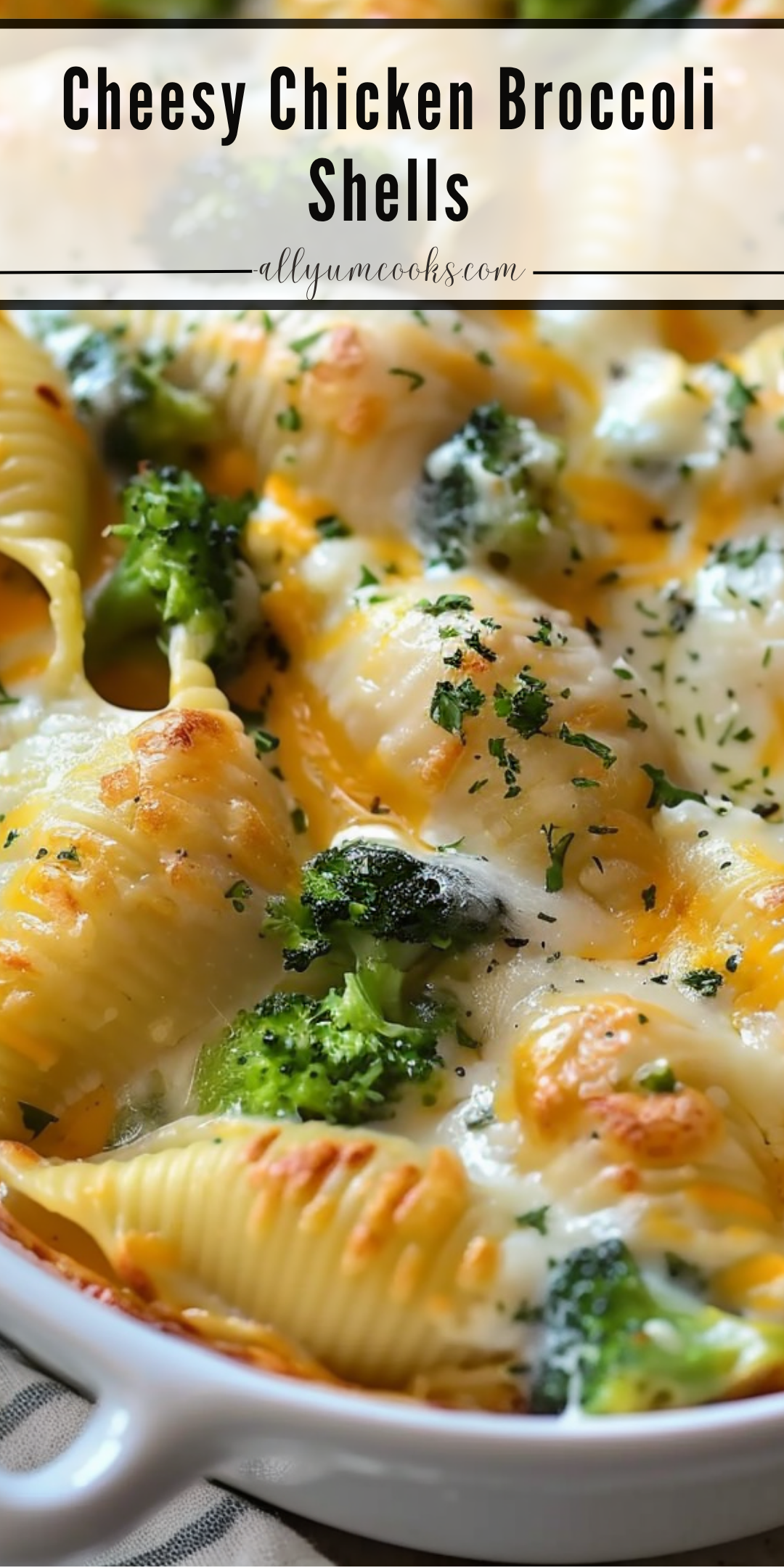 Garlic Broccoli Shells Cheesy Chicken Broccoli Shells | All Yum Cooks