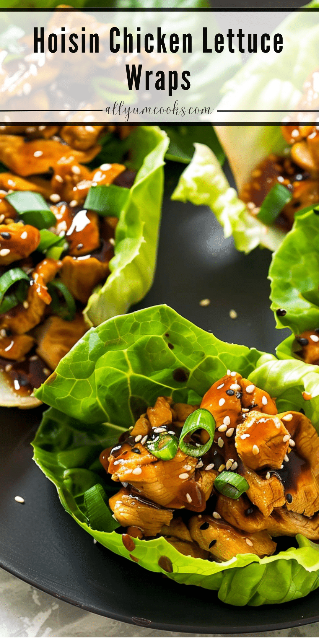 Hoisin Chicken Lettuce Wraps | All Yum Cooks