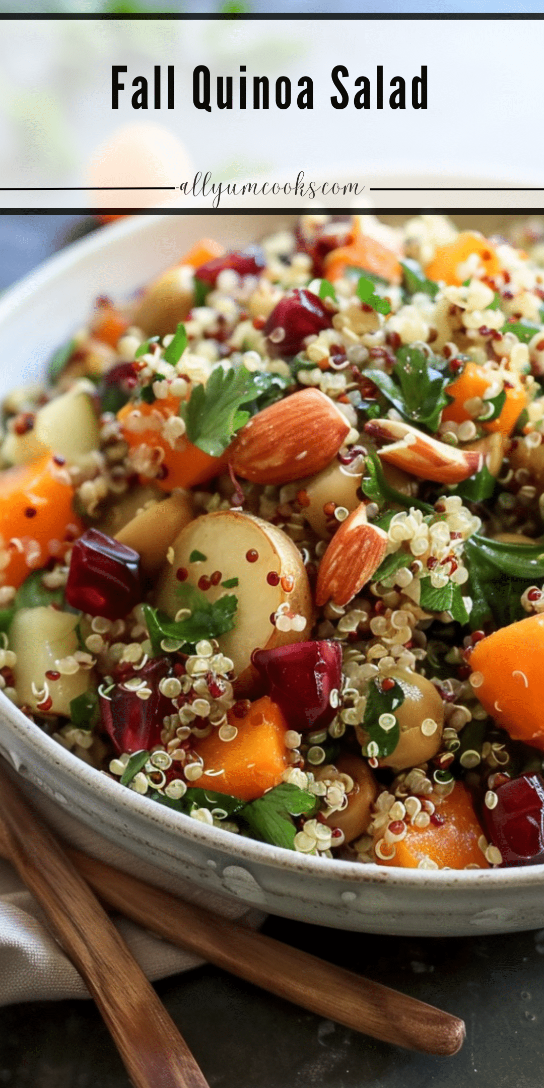 Fall Quinoa Salad All Yum Cooks