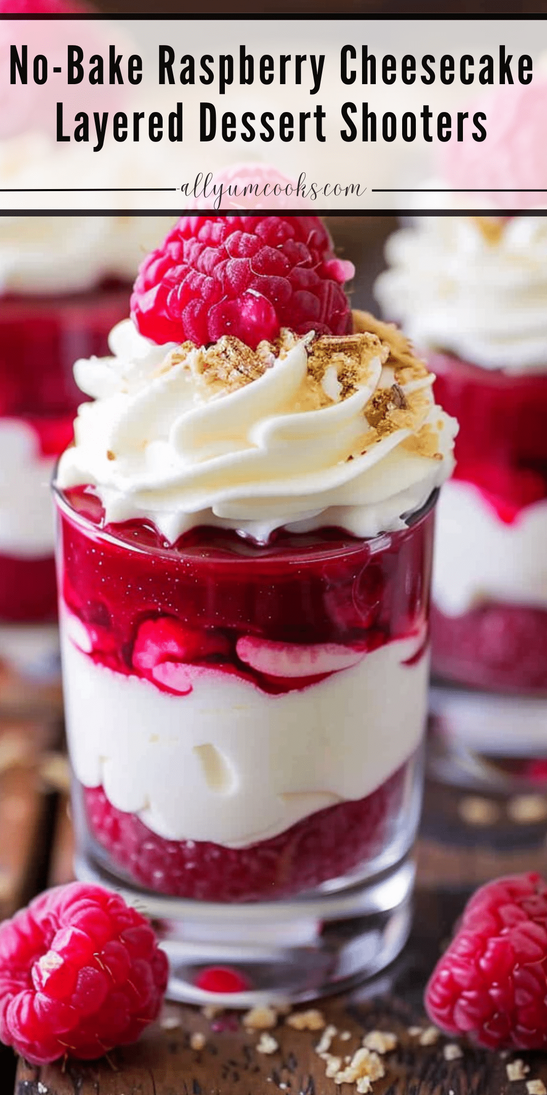 Raspberry Cheesecake Dessert Shooters | All Yum Cooks