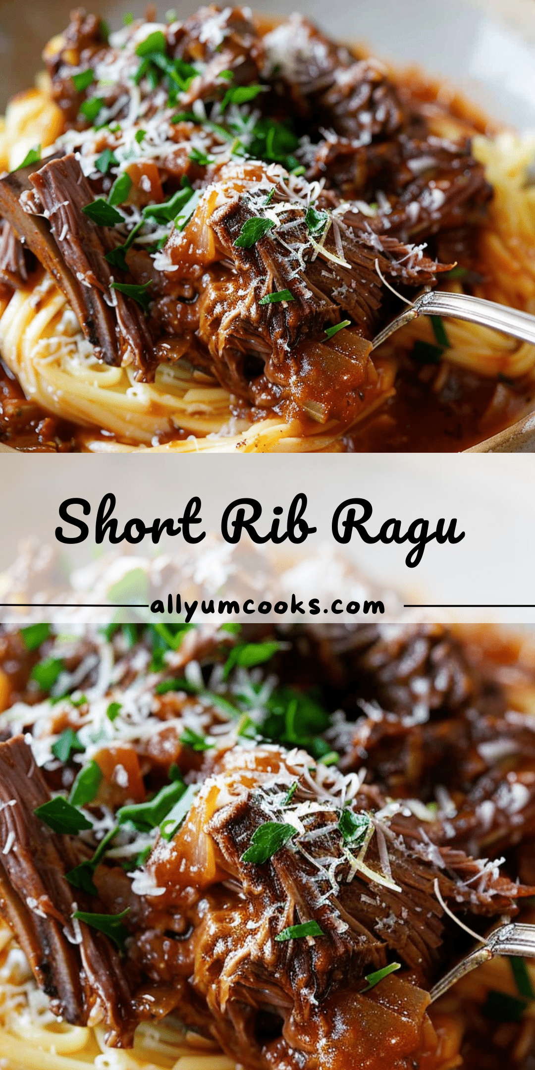 Shoert Rib Ragu Short Rib Ragu | All Yum Cooks