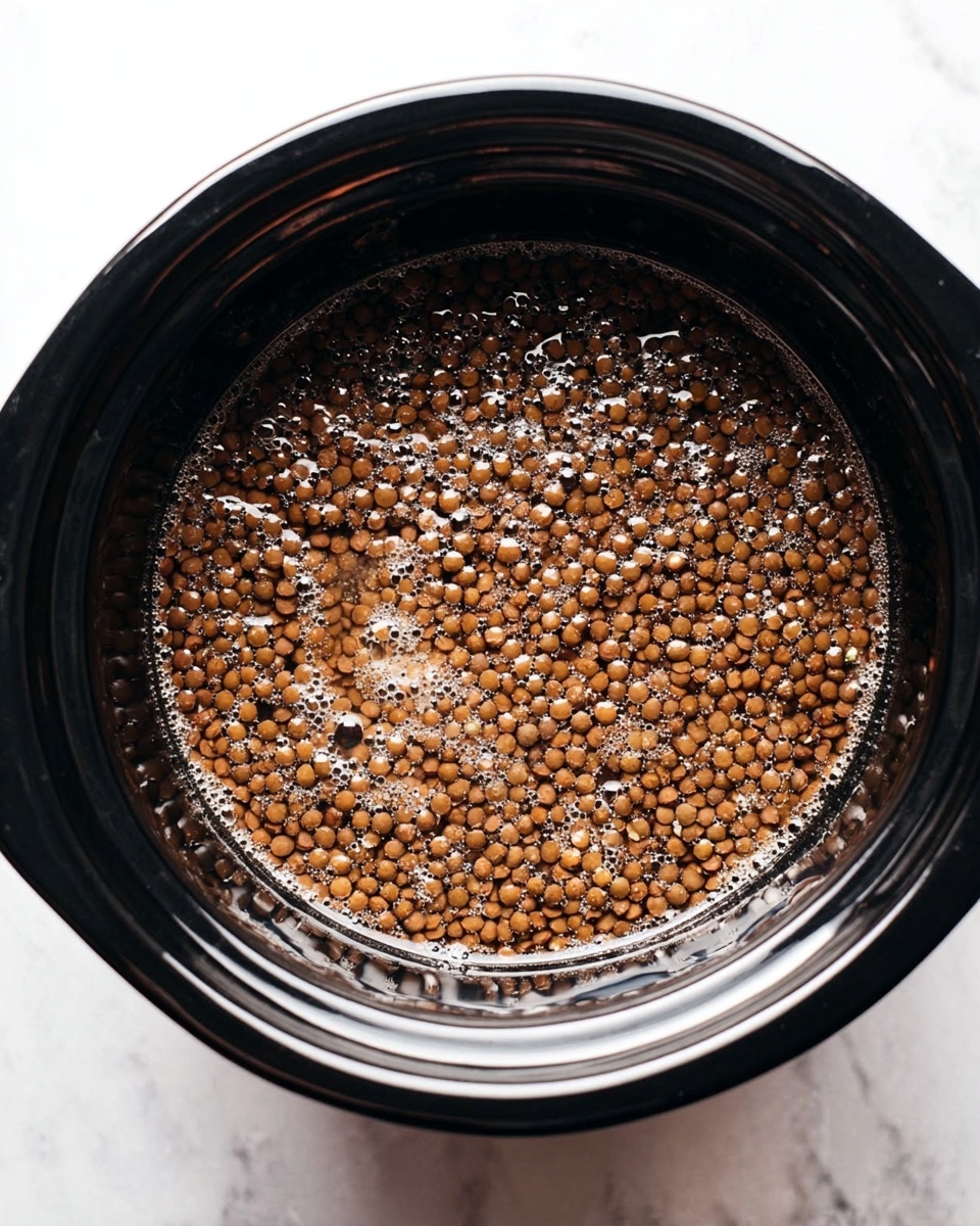 A close-up top view of a black slow cooker filled with water and small brown lentils soaking inside. The lentils create a textured surface with small bubbles scattered throughout the clear water, showing a shiny, wet look. The slow cooker has a smooth black interior and is placed on a white marbled surface. Photo taken with an iphone --ar 4:5 --v 7
