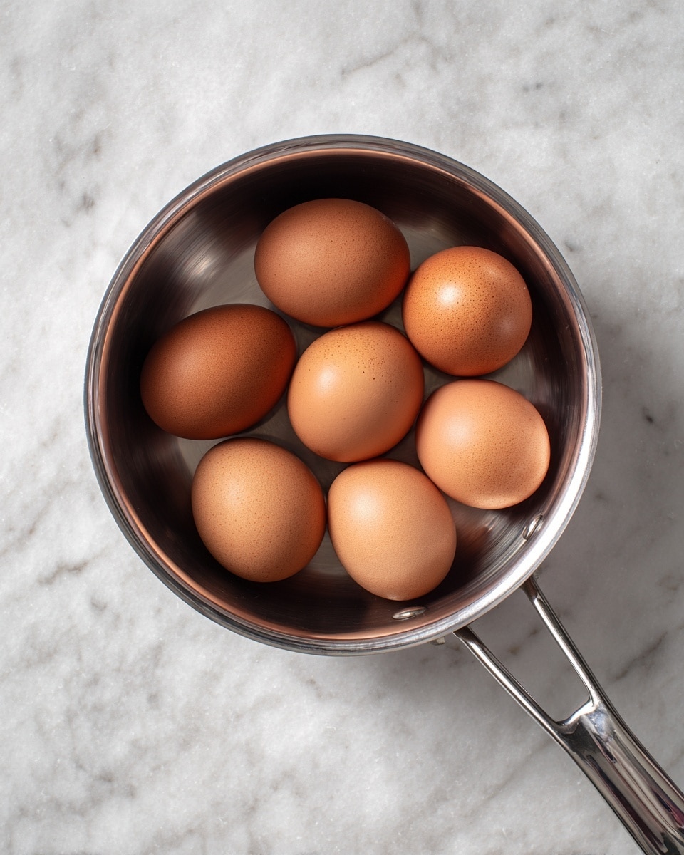 A stainless steel pot filled with eight brown eggs, evenly spaced inside the pot. The pot has a smooth, shiny surface and a handle extending to the right side. The background is a white marbled texture that contrasts softly with the pot's metallic shine and the eggs' light brown color. photo taken with an iphone --ar 4:5 --v 7