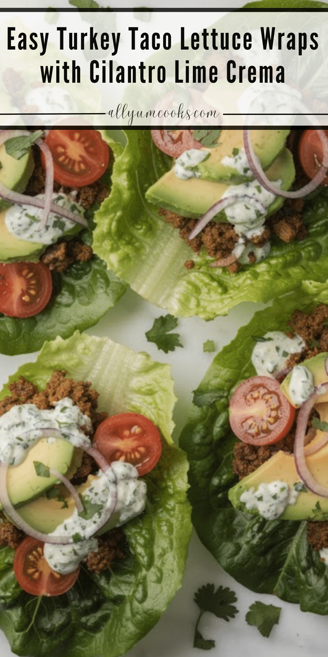 Easy Turkey Taco Lettuce Wraps with Cilantro Lime Crema
