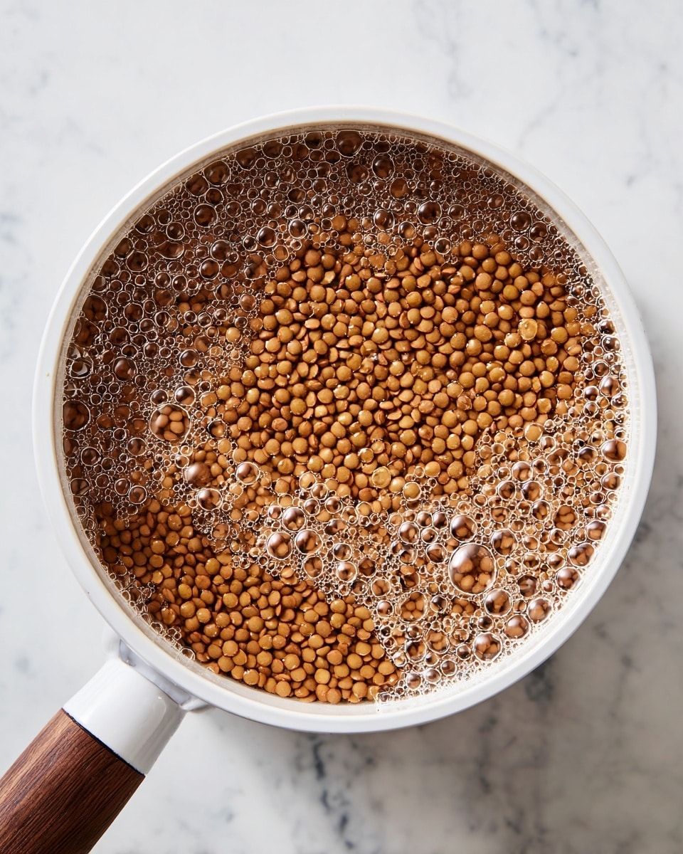 A close-up top view of a white pot filled with small round brown lentils covered in clear water with bubbles floating on the surface. The pot handle is white with a dark wooden grip, set on a white marbled surface. The lentils layer fills the pot almost to the top, with water slightly above the lentils, creating a shiny texture with reflections and bubbles all over photo taken with an iphone --ar 4:5 --v 7