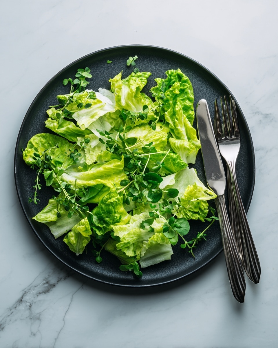 A black round plate on a white marbled surface holds a colorful salad. The base layer is fresh green lettuce spread out evenly. On top of the lettuce, sliced cucumbers form a neat layer on the right side, with thinly sliced red onions mixed in. Cherry tomatoes, both red and green, are halved and placed on the left side, adding bright spots of color. In the middle, grilled chicken slices with a golden-brown color are stacked in a row. A creamy white dressing is drizzled over the chicken and parts of the salad. To the upper left of the plate, a wooden bowl with extra dressing and a spoon is visible, and a shiny silver slotted spoon rests to the right on the white marbled surface. photo taken with an iphone --ar 4:5 --v 7