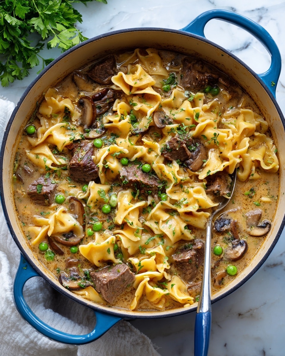 Beef Stroganoff Soup Recipe