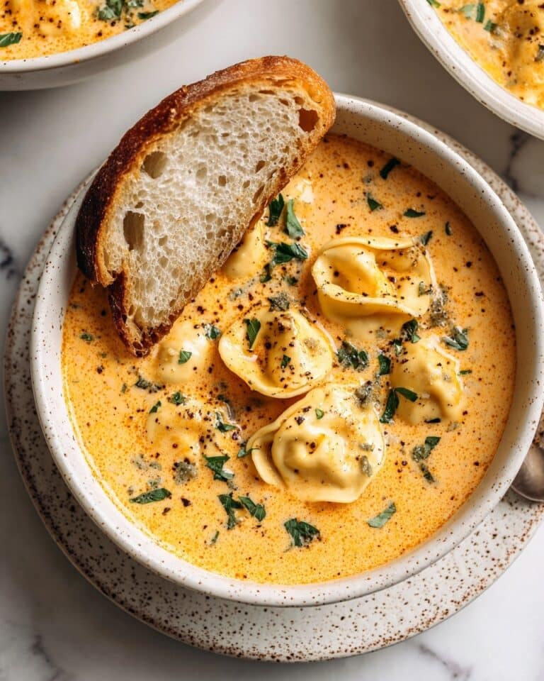 Tomato Tortellini Soup Recipe