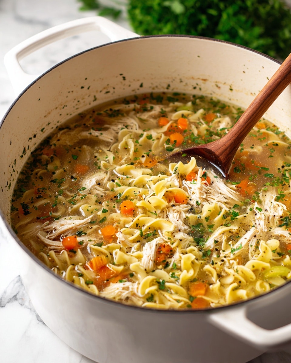 Rotisserie Chicken Noodle Soup Recipe